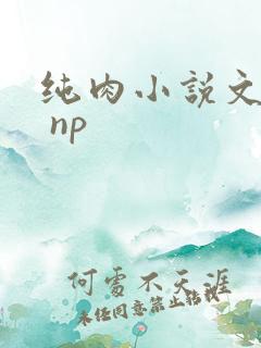 纯肉小说文高h np