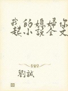 我的媳妇你惹不起小说全文阅读