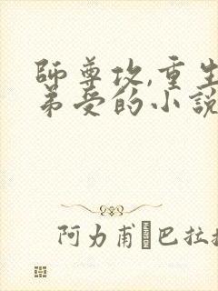 师尊攻,重生徒弟受的小说