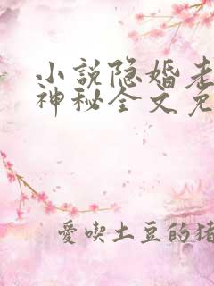 小说隐婚老公太神秘全文免费阅读