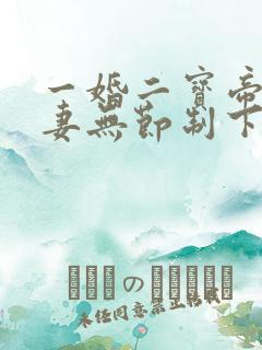 一婚二宝帝少宠妻无节制下载txt