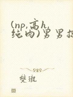 (np,高h,纯肉)男男总攻