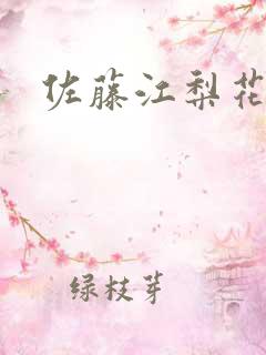 佐藤江梨花