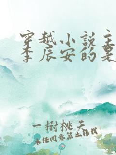 穿越小说主角叫李辰安的是什么小说