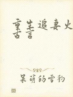 重生追妻火葬场古言