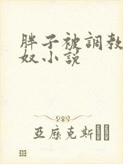 胖子被调教成肉奴小说 胖子被调教成肉奴小说
