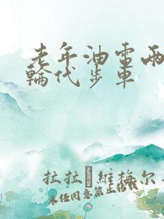 老年油电两用四轮代步车