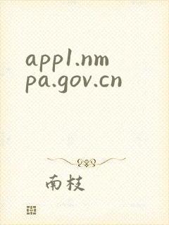 app1.nmpa.gov.cn
