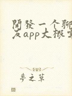 开发一个聊天交友app大概需要多少钱