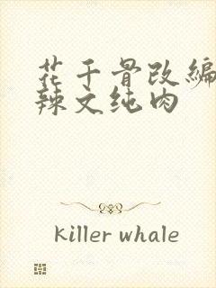 花千骨改编高h辣文纯肉