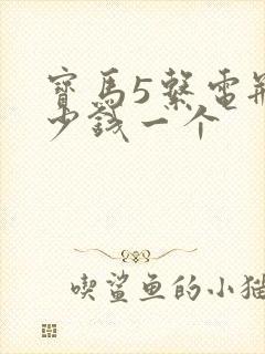 宝马5系电瓶多少钱一个
