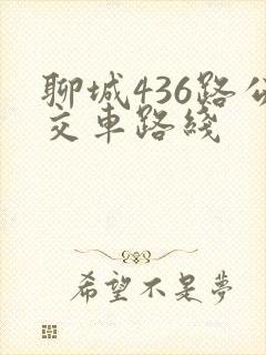 聊城436路公交车路线