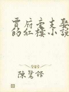 贾府旁支娶平儿的红楼小说