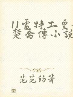 11处特工皇妃楚乔传小说