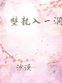 双龙入一洞高h