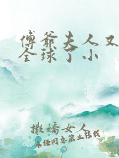 傅爷夫人又惊艳全球了小