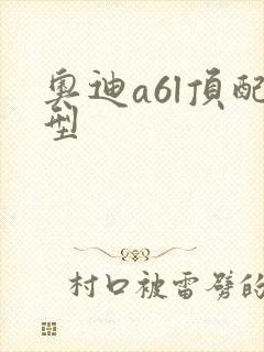 奥迪a6l顶配型