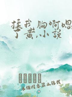 揉我胸啊嗯出奶了黄,小说