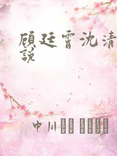 顾廷霄沈清璃小说