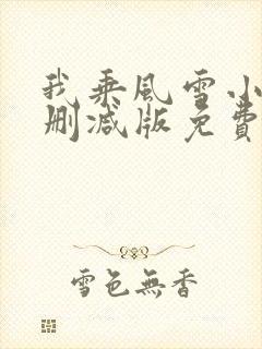我乘风雪小说无删减版免费阅读