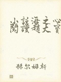小说海之心在线阅读赵大宝