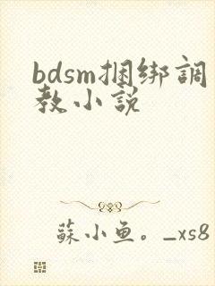 bdsm捆绑调教小说