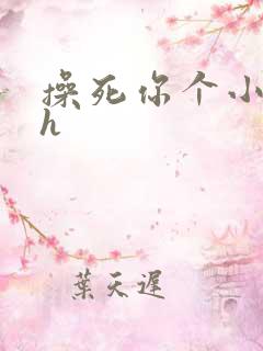 操死你个小骚货h