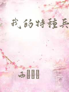 我的特种兵老公