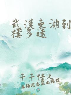 武汉东湖到黄鹤楼多远