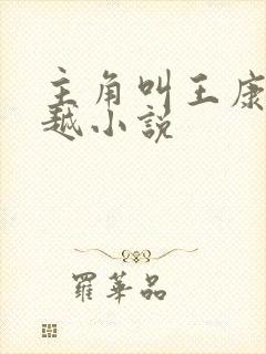 主角叫王康的穿越小说