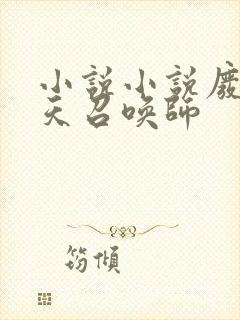 小说小说废柴逆天召唤师