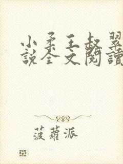 小柔王叔翠芬小说全文阅读免费最新