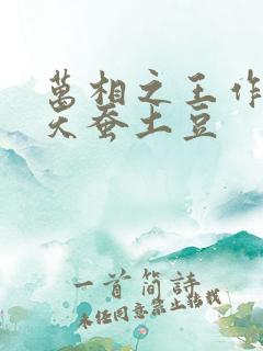 万相之王作者:天蚕土豆