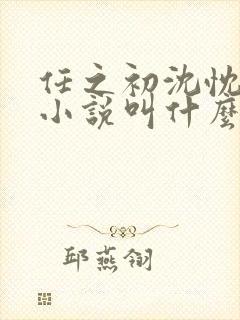 任之初沈忱原著小说叫什么名字 任之初沈忱原著小说叫什么名字