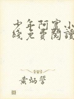 少年阿宾小说在线免费阅读