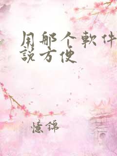 用那个软件写小说方便