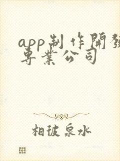app制作开发专业公司 app制作开发专业公司