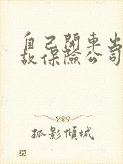 自己开车出了事故保险公司赔吗