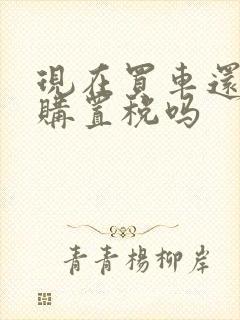 现在买车还要交购置税吗