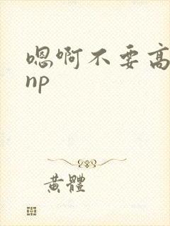 嗯啊不要高h np