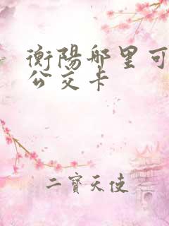 衡阳哪里可以充公交卡