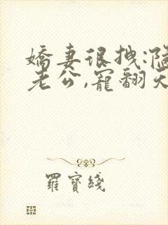 娇妻很拽:隐婚老公,宠翻天