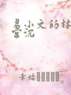 易小文的林知意宫沉