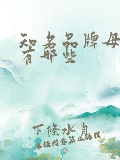 知名品牌母婴店有哪些