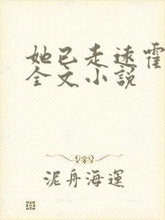 她已走远霍霆舟全文小说