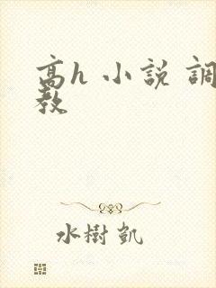 高h 小说 调教