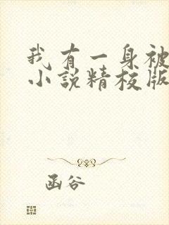 我有一身被动技小说精校版