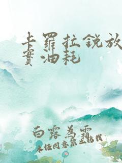 卡罗拉锐放的真实油耗