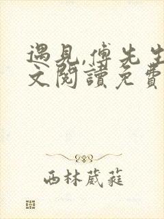 遇见,傅先生全文阅读免费