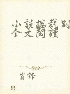 小说总裁别太猛全文阅读